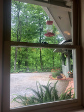 Summer Hummer - Watercolor