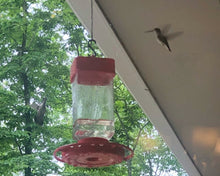 Summer Hummer - Watercolor