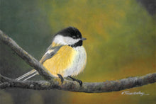 A Smokies wildlife watercolor of a chickadee.