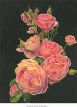 Love is in the air- Roses - watercolor.