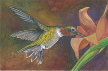 Terri Waters uses watercolors to capture this Ruby throated hummingbird. 