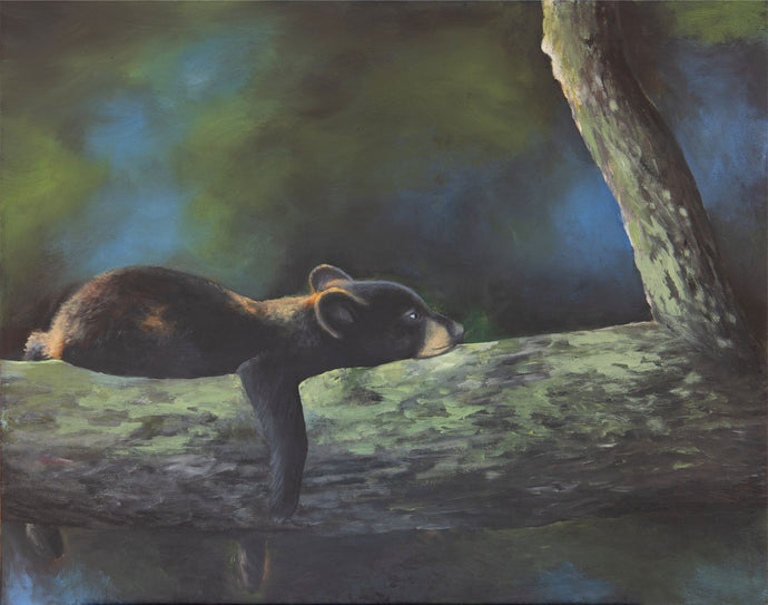 A Smokies wildlife painting in acrylic of a cub taking a much needed rest.