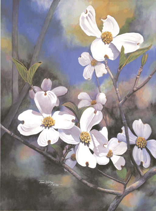 Spring Serenade - Watercolor