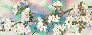 Appalachian Bouquet - watercolor. A floral painting of Crabapple blossoms.