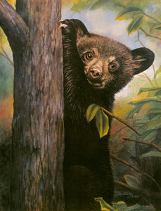 A wildlife painting of a baby black bear, long a symbol of the Smokies. Watercolor.
