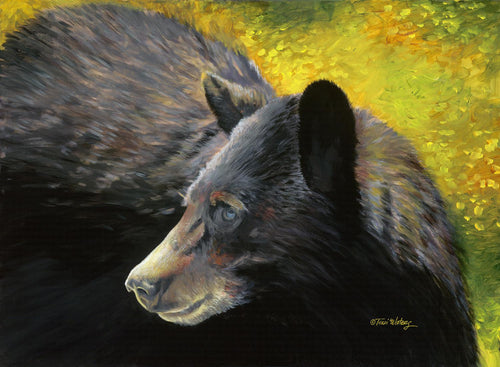 A Smokies wildlife painting of the symbol of the Smokies, the American Black Bear. Acrylic.