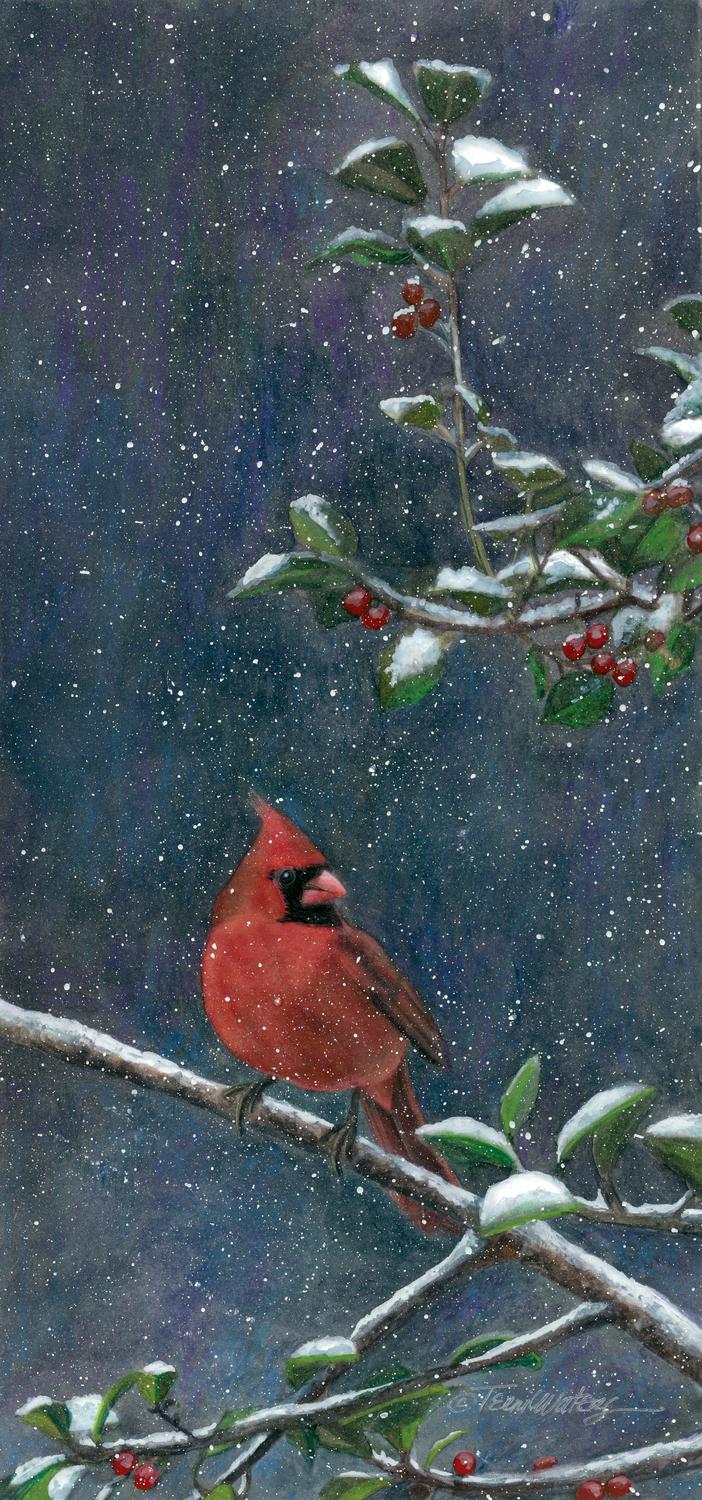 A Smokies wildlife painting of a cardinal in the snow. Watercolor.
