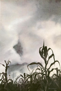 Out of the mist, dark silhouettes rise, apparitions of a harvest that has ended. Watercolor.