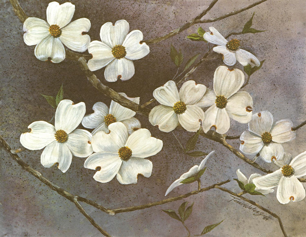 This floral watercolor celebrates the arrival of another Smokies spring. 