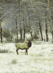 A winter wildlife painting of majestic elk, silhouetted by a tree line against a gray-blue sky. Watercolor.