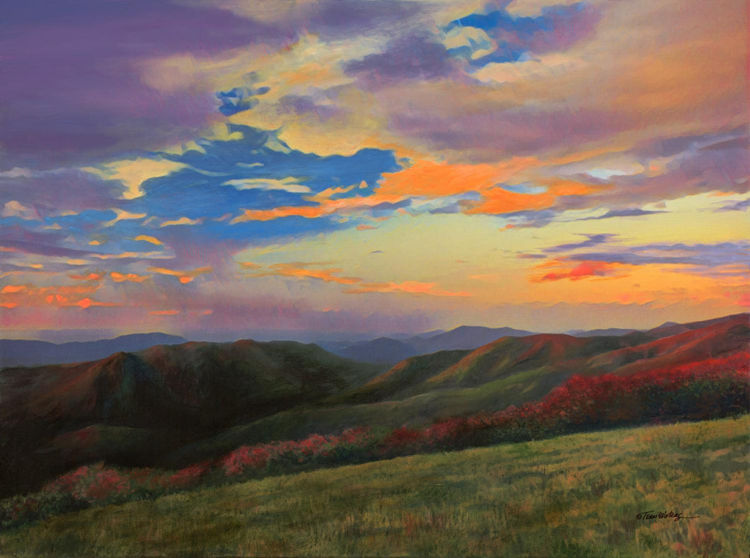 An acrylic landscape of Spence Field, providing an excellent view of the Smoky Mountains in June while also enjoying the beauty of Mountain Laurel in bloom. 