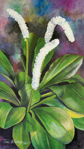 A floral watercolor of Fairy Wand, a member of the lily family and a fairly uncommon Smokies wildflower. 