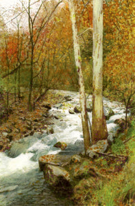 An autumn landscape with golds and greens framing a rushing Smoky Mountain Greenbrier stream.