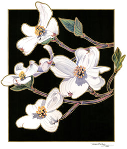 Showing an oriental influence in this floral watercolor, the artist outlined in gold these beautiful spring dogwood flowers against a stark black background. 