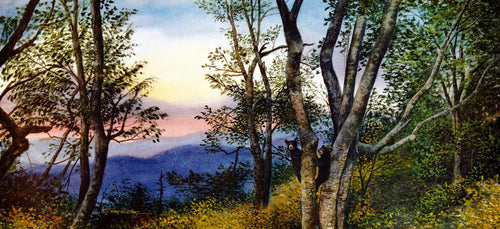 A Smokies wildlife watercolor of young black bears surveying their domain.
