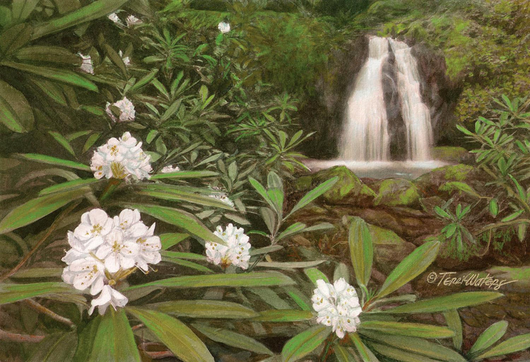 A Smokies summer landscape of Meigs Falls framed by Rhododendron, portrayed in watercolor.