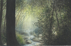 A Smokies landscape watercolor of a secret place amid the lush green forest on a mountain stream. 