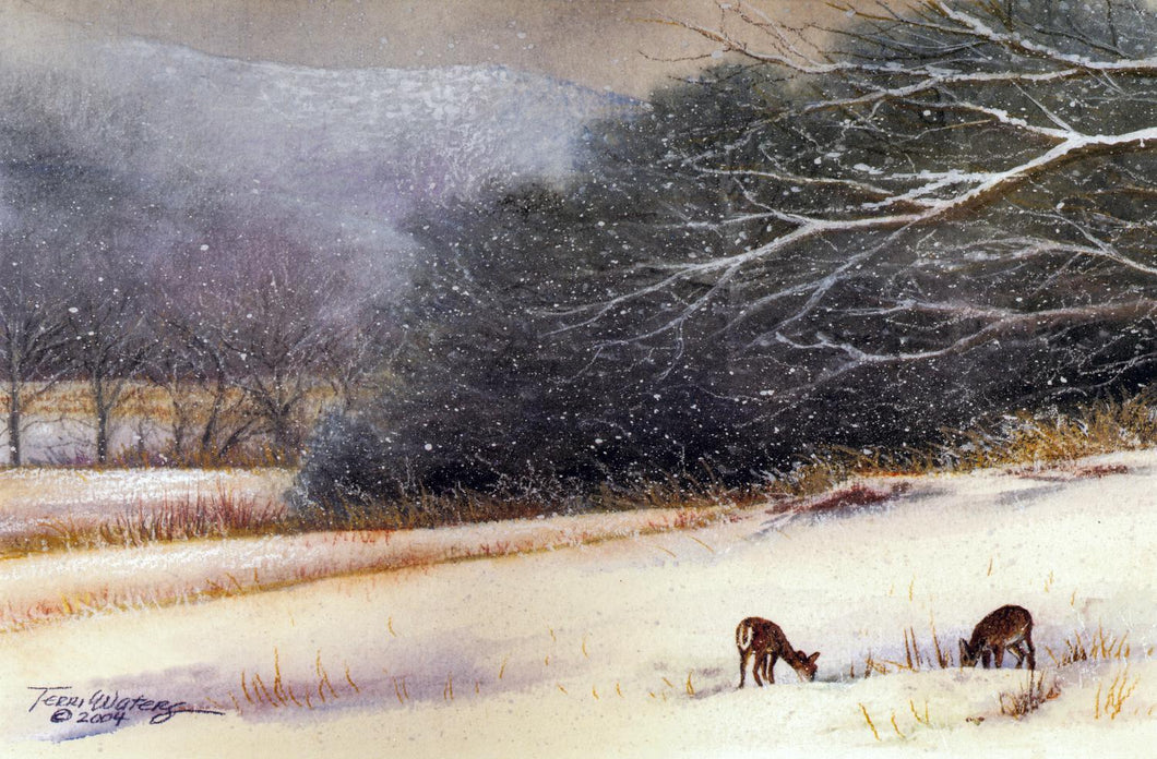 A Smokies wildlife watercolor of white-tailed deer in Cades Cove. 