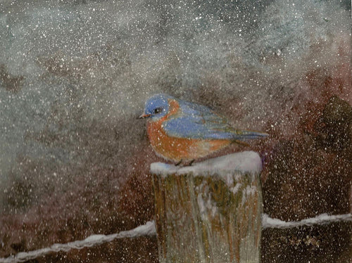 A Smokies wildlife watercolor of an Eastern bluebird. 