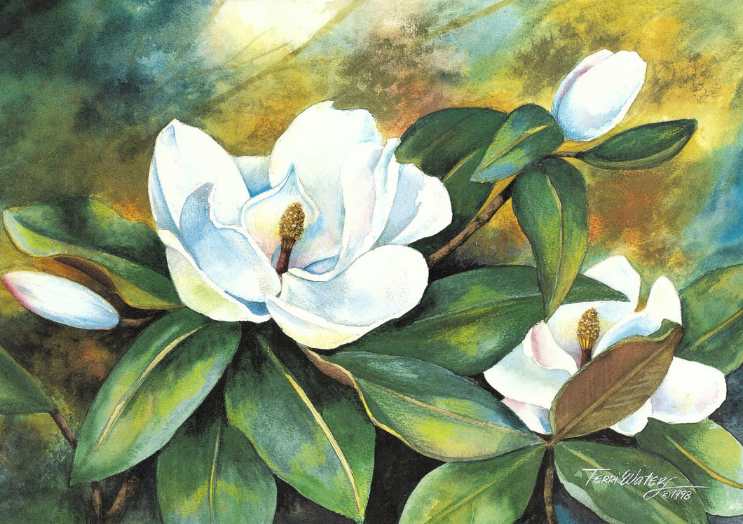 A floral watercolor painting of Magnolia blossoms. 