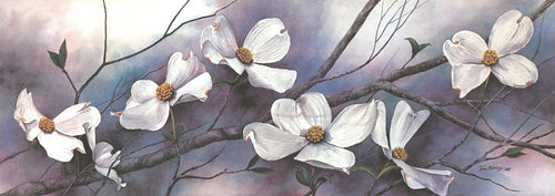 A floral watercolor painting of Dogwood flowers.