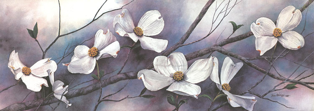 A floral watercolor painting of Dogwood flowers.