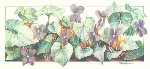 A Smoky Mountain floral wildflower watercolor painting of purple violets. 