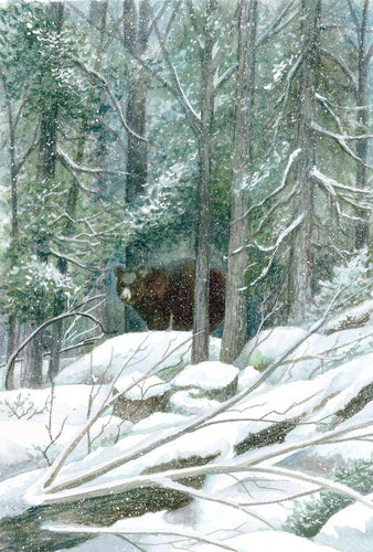 A Smokies wildlife watercolor of a black bear in winter.